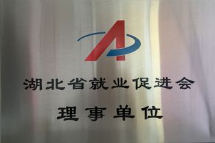互聯網時代，湖北就業市場正經歷深刻重構——省就業促進會第三屆會員大會在武漢召開